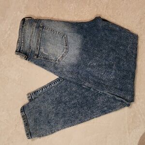 Buckle Willow & Root Mom jeans
